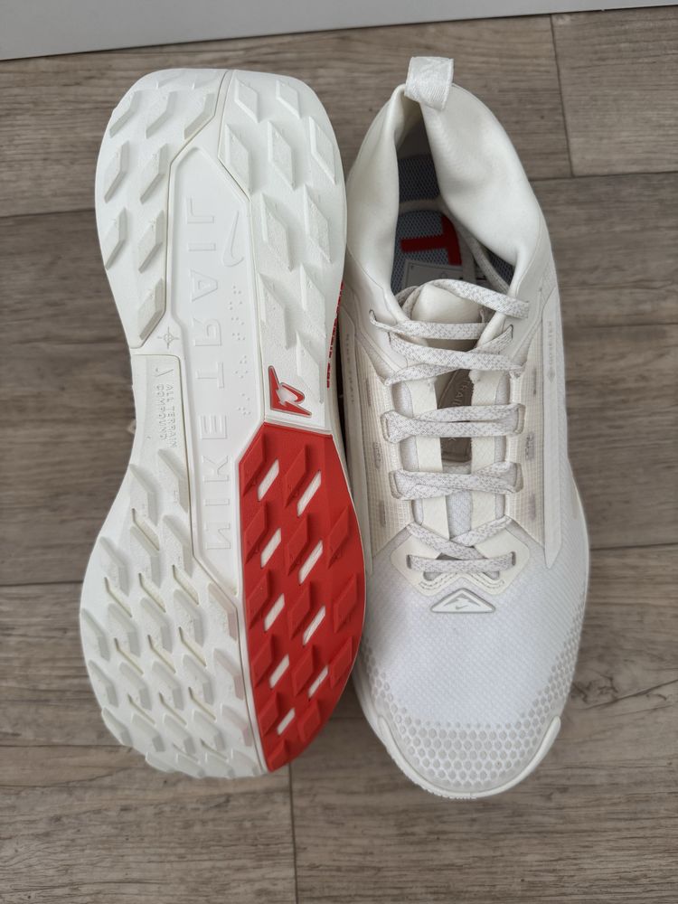 Nike Pegasus Trail 5 Gore-Tex