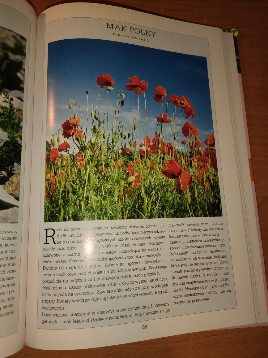 Książka 100 najpiękniejszych roślin w Polsce