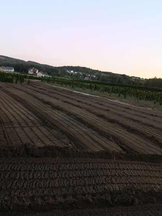 Czyszczenie dzialek mulczer leśny frezowanie pni likwidacja zakrzaczen