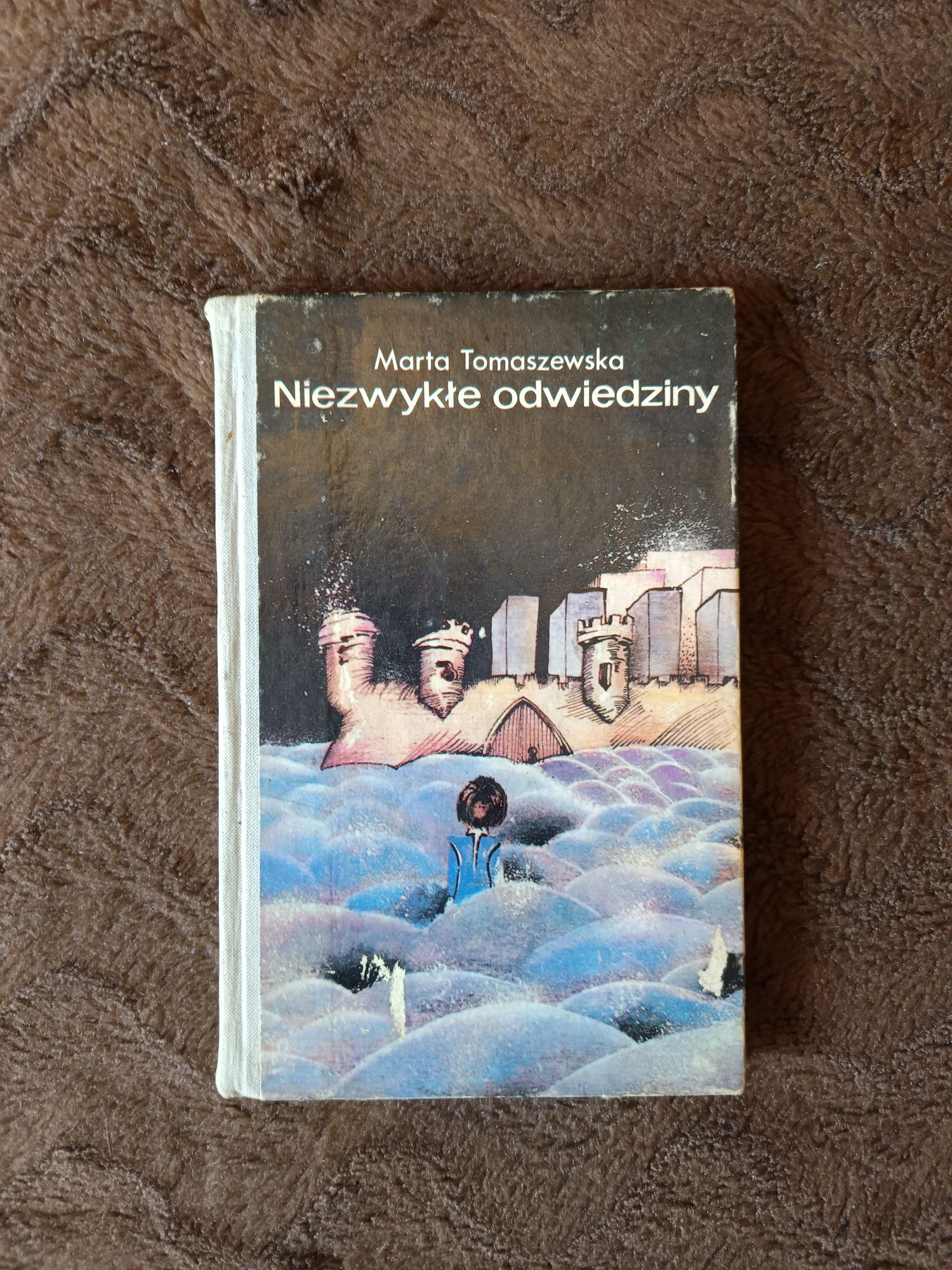Niezwykłe odwiedziny - Marta Tomaszewska, książka