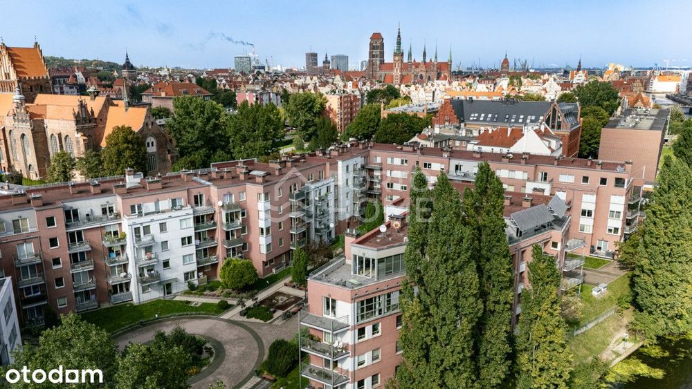 Lokal handlowo-usługowy I Stały Najemca I Gdańsk