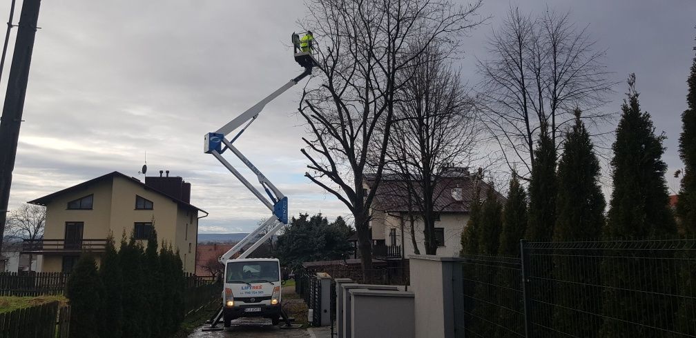 Wycinka drzewa, frezowanie pni, rozdrabnianie gałęzi, usługi rębakiem,