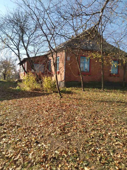 Будинок в селі Терешівці з присадибною ділянкою