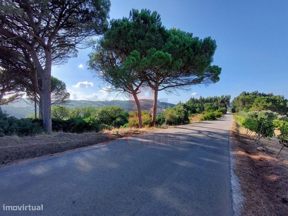 Terreno Rústico com 9.630 m² em A-Dos-Francos, Caldas da Rainha