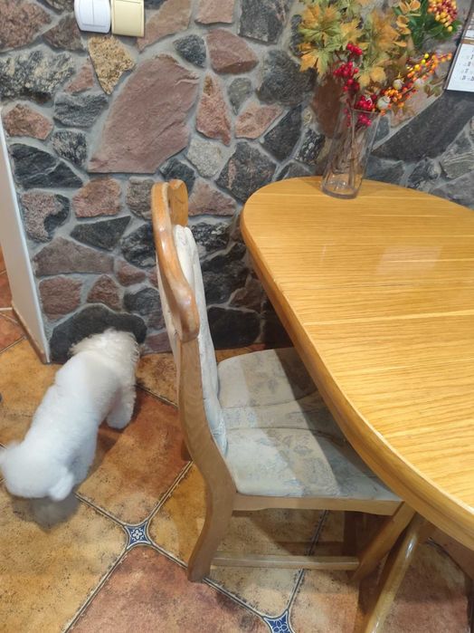 stół z trzema krzesłami