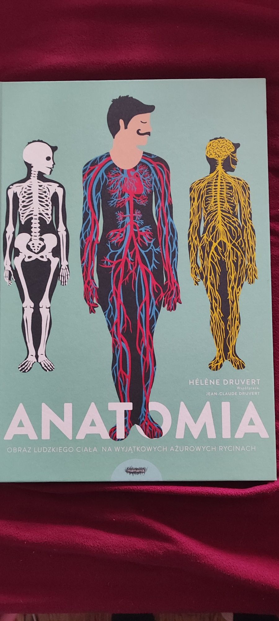 Anatomia.Druvert obrazy ludzkiego ciała na ażurowych rycinach nowa