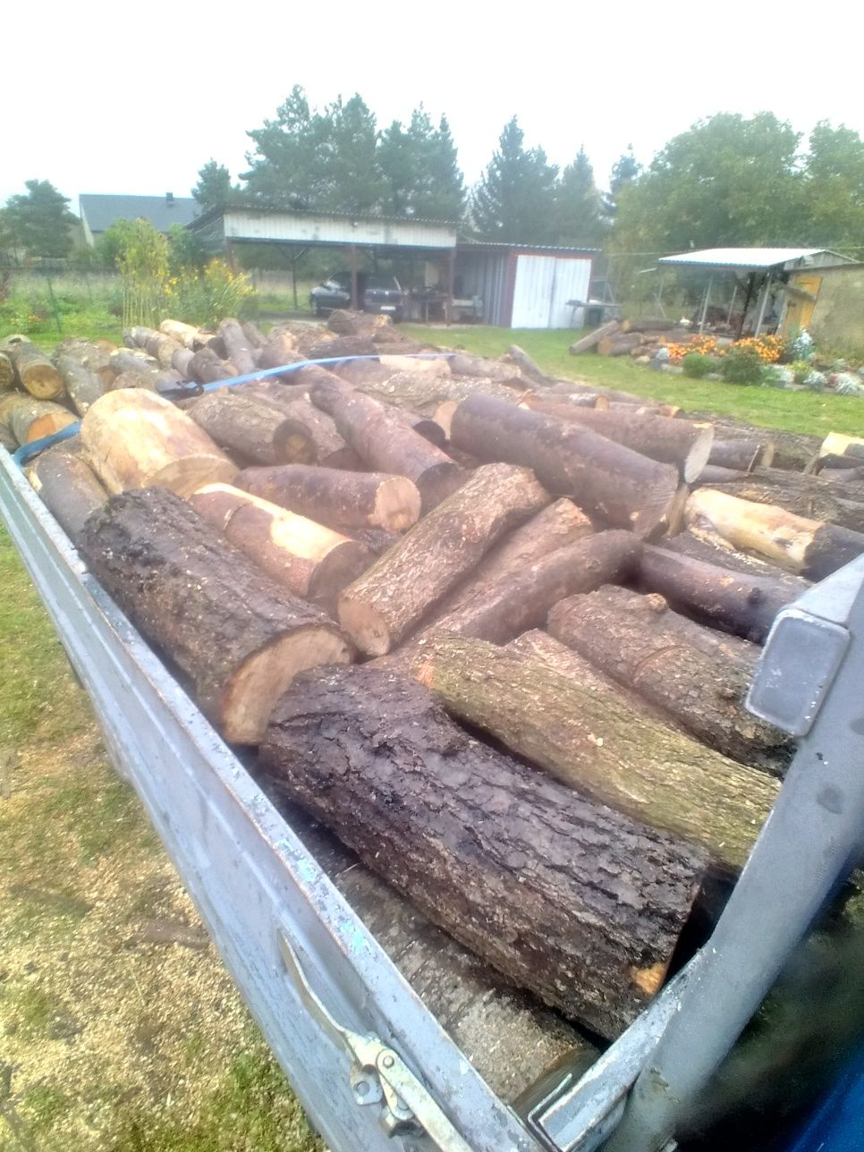 Witam sprzedam drewno