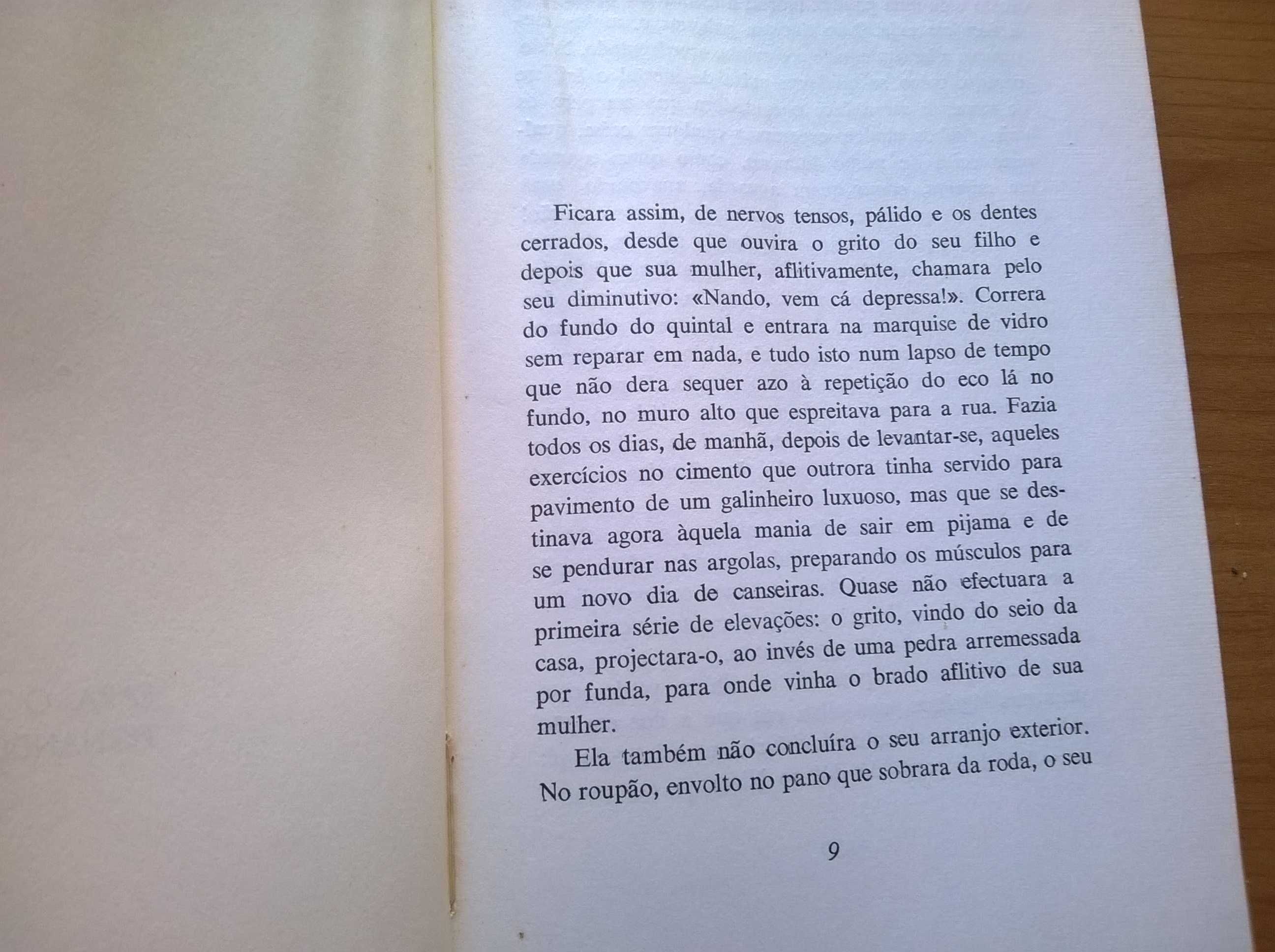 O Guarda-Chuva Vermelho - Amândio César (portes grátis)