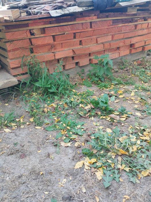 Доска ясень + шилевка