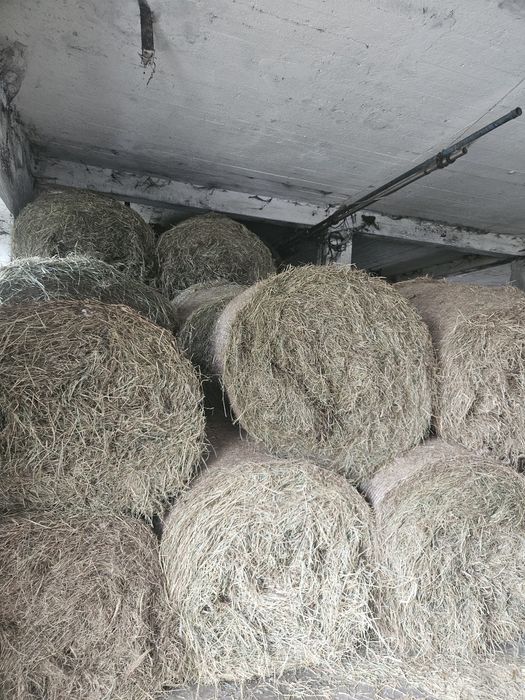 Siano  słoma sianokiszonka bele baloty