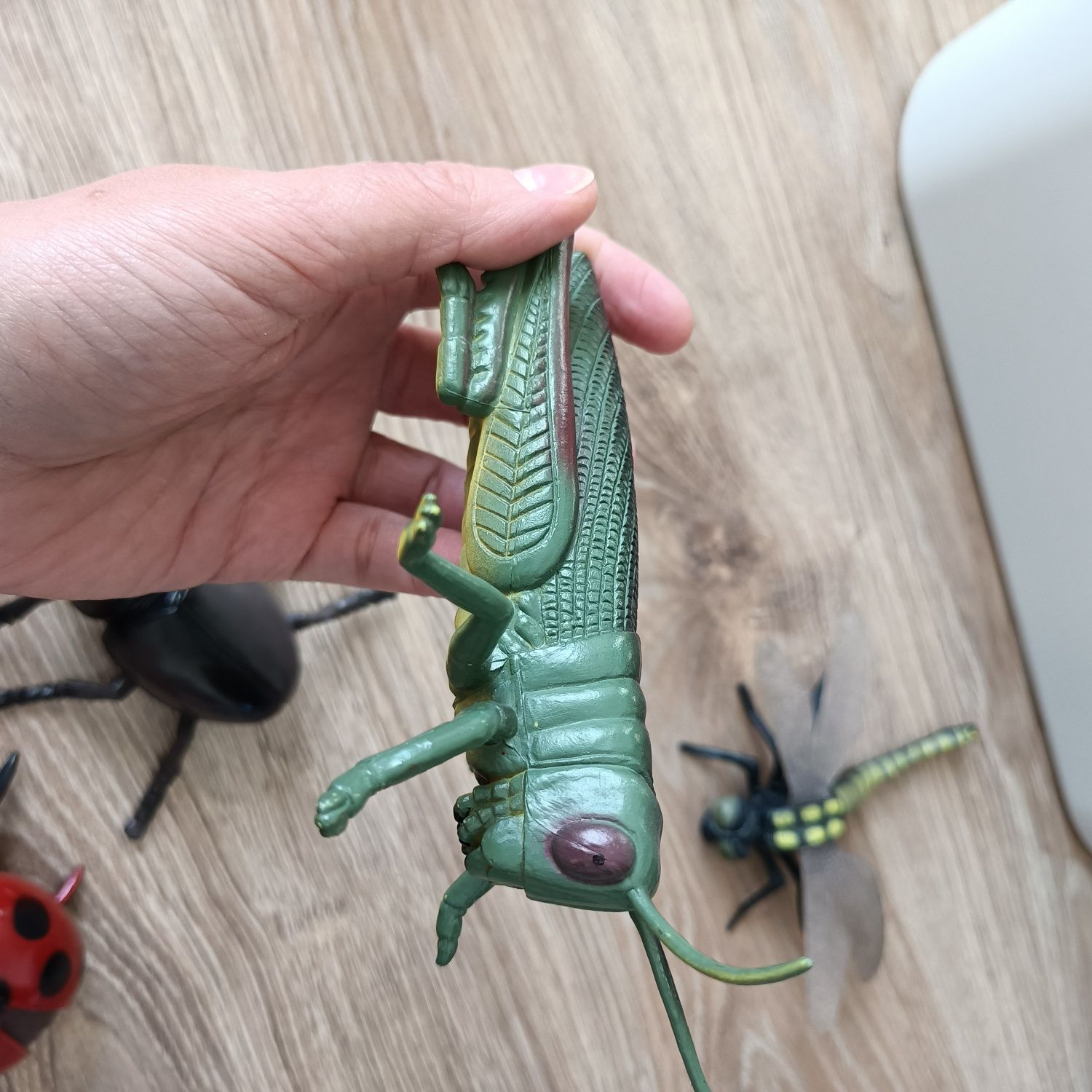 4 duże figurki owadów