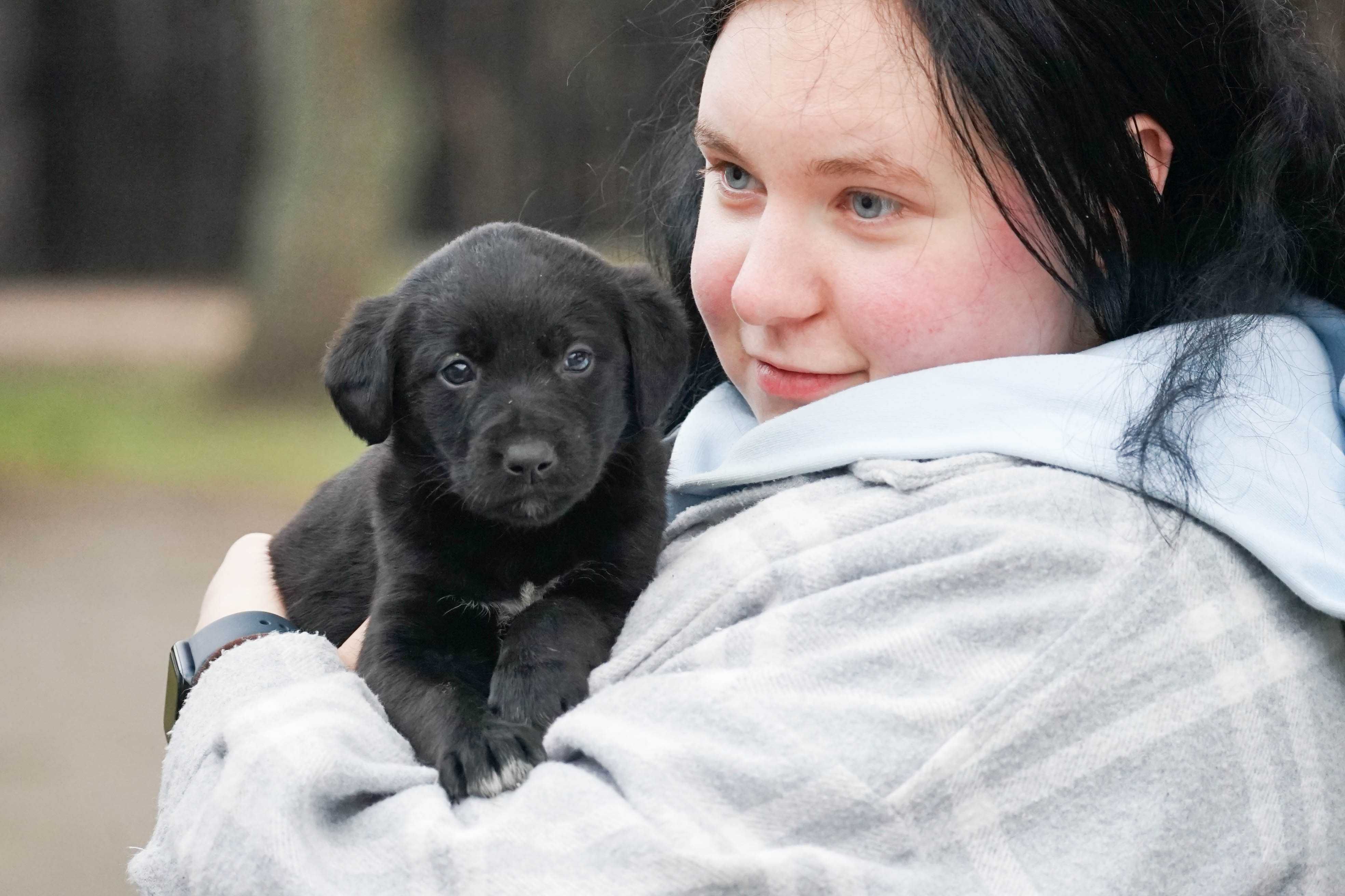 Aleksja - śliczna sunia , szczeniak do adopcji