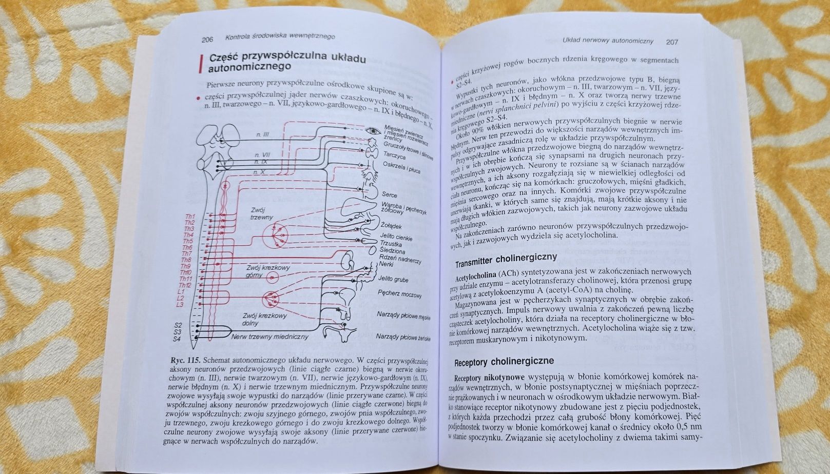 Książka Fizjologia człowieka w zarysie Władysław Traczyk