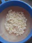 Grzybek tybetański, zdrowy kefir