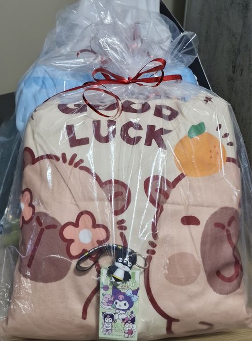 Poduszka Kapibara Prezent Mikołajki