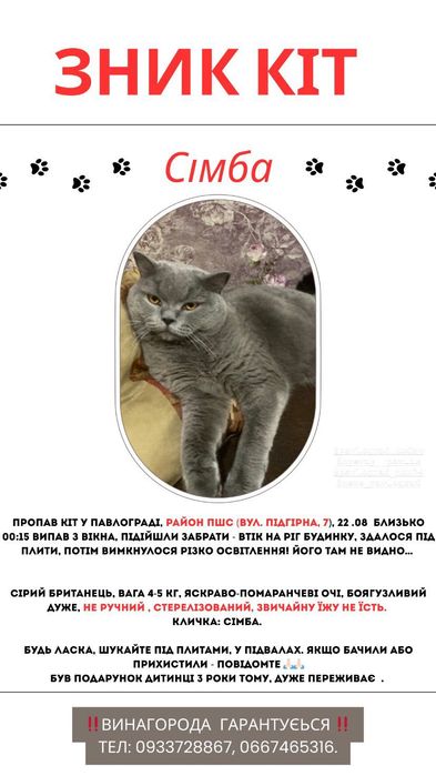 Пропал кот серый на пшс