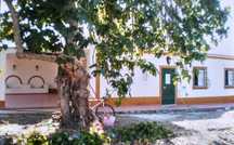 Quinta Alentejo - Avis