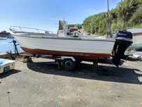 Barco Argus 550P