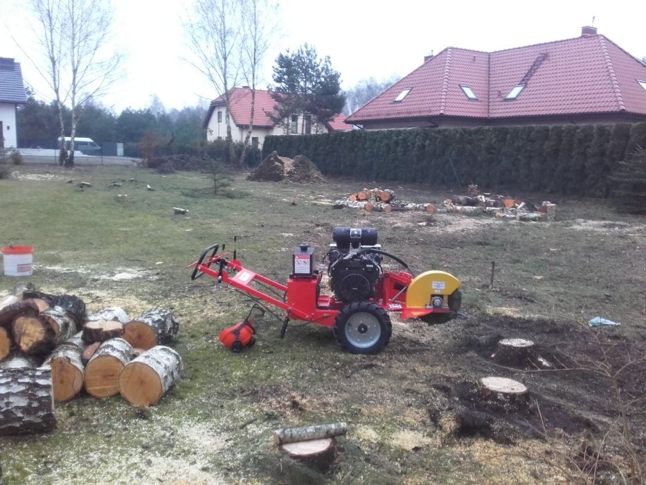 Cięcie przycinanie wycinka drzew Pabianice Łódź Aleksandrów Ksawerów