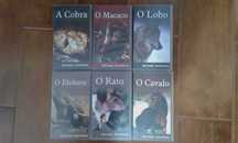 6 vídeos VHS - Animais