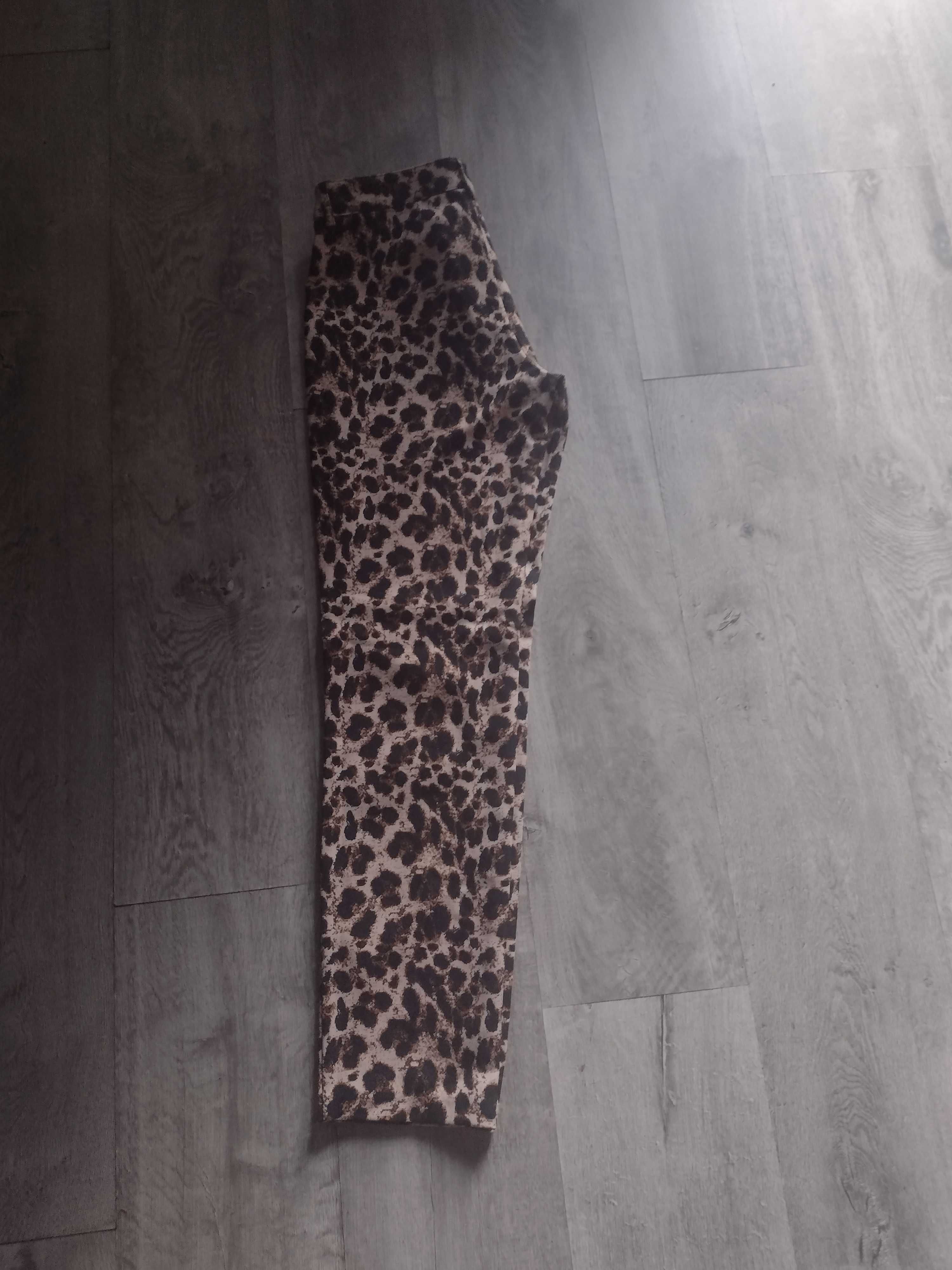 Spodnie w panterkę r. 38 Heidi Klum