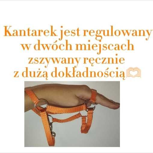 Jesienna kolekcja hobby horse Derka i kantar