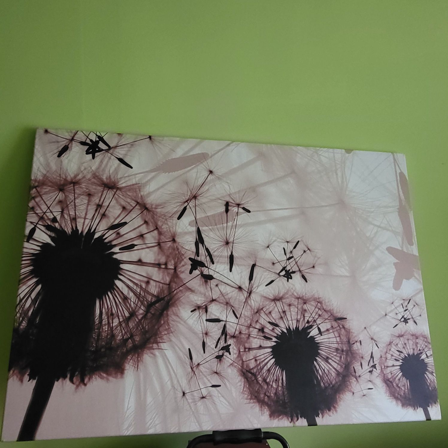 Obraz z dmuchawcami 70x100 cm
