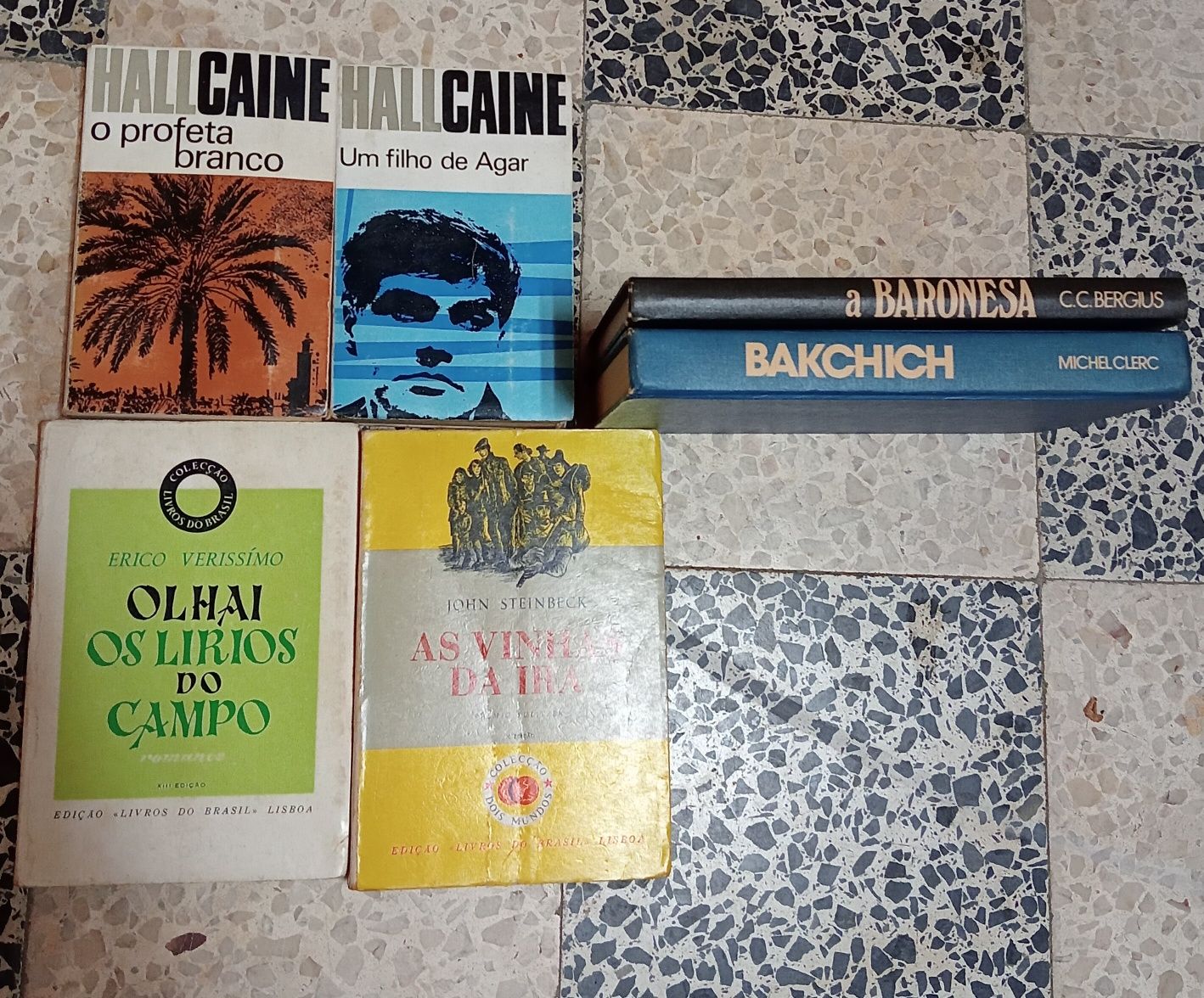 Lote Livros Amigos