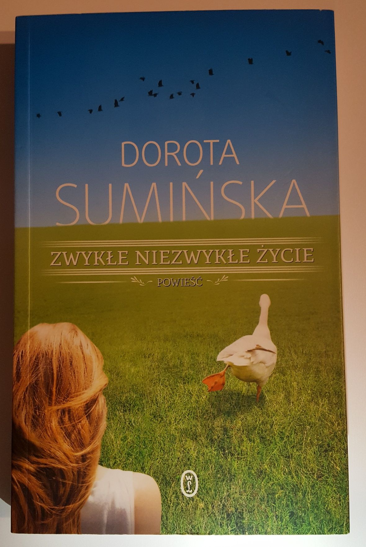 Dorota Sumińska Zwykłe niezwykłe życie powieść