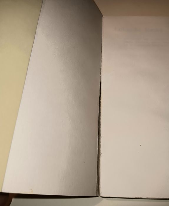 António Osório [A Ignorância da Morte]