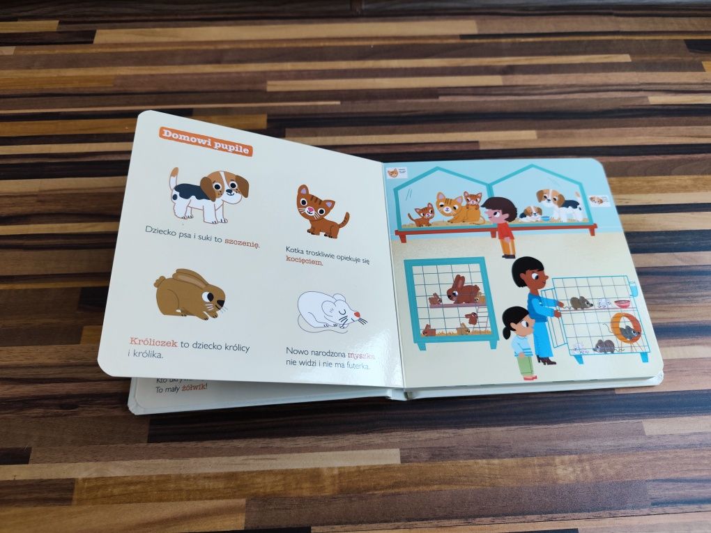 Świat wokół nas dzieci zwierząt pogoda książeczki obrazkowe dla maluch