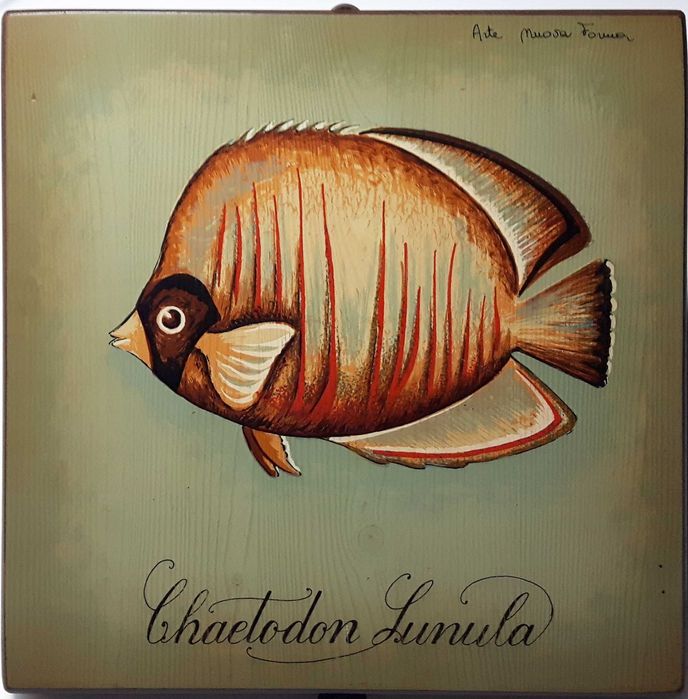 Coleção de Quadros de Peixes