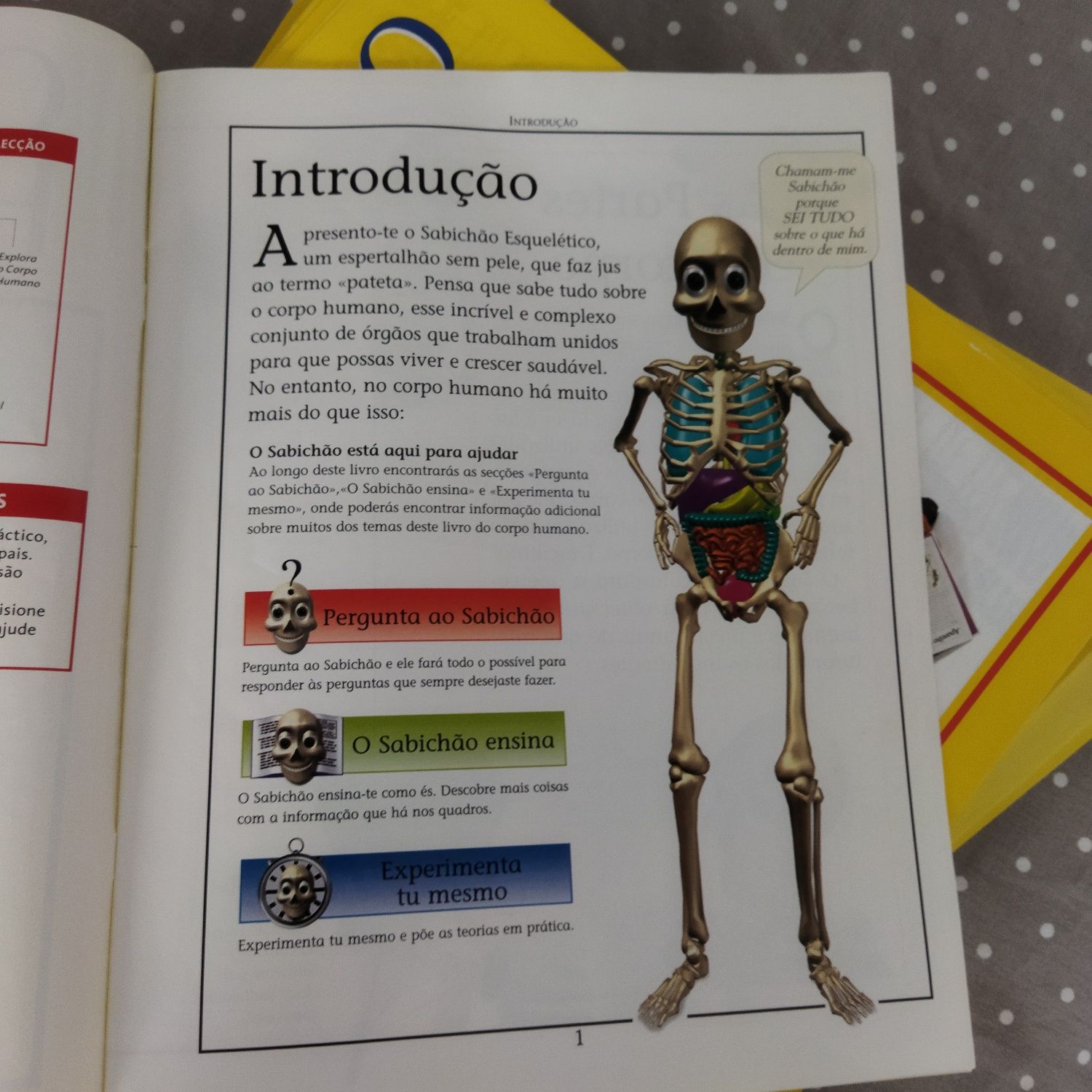 Enciclopédia infantil corpo humano
