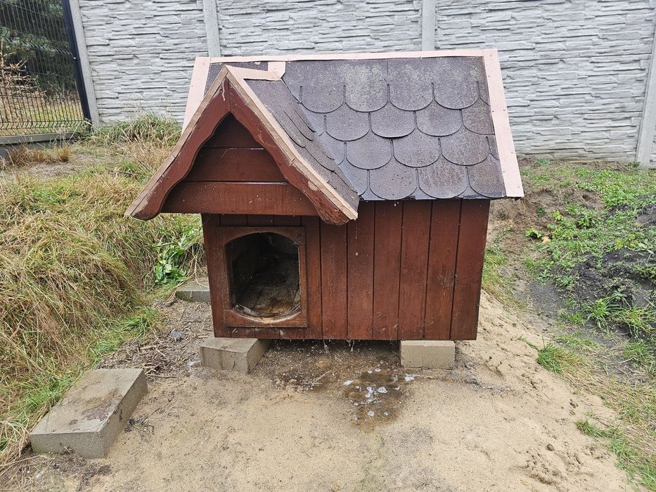 Buda dla psa - Duża