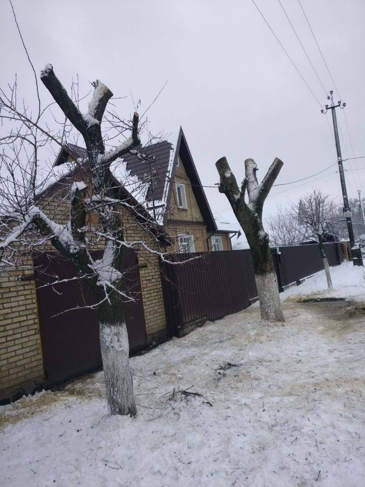 Видалення аварійних дерев Є послуги автовишки. Є послуги ЩЕПОРІЗА