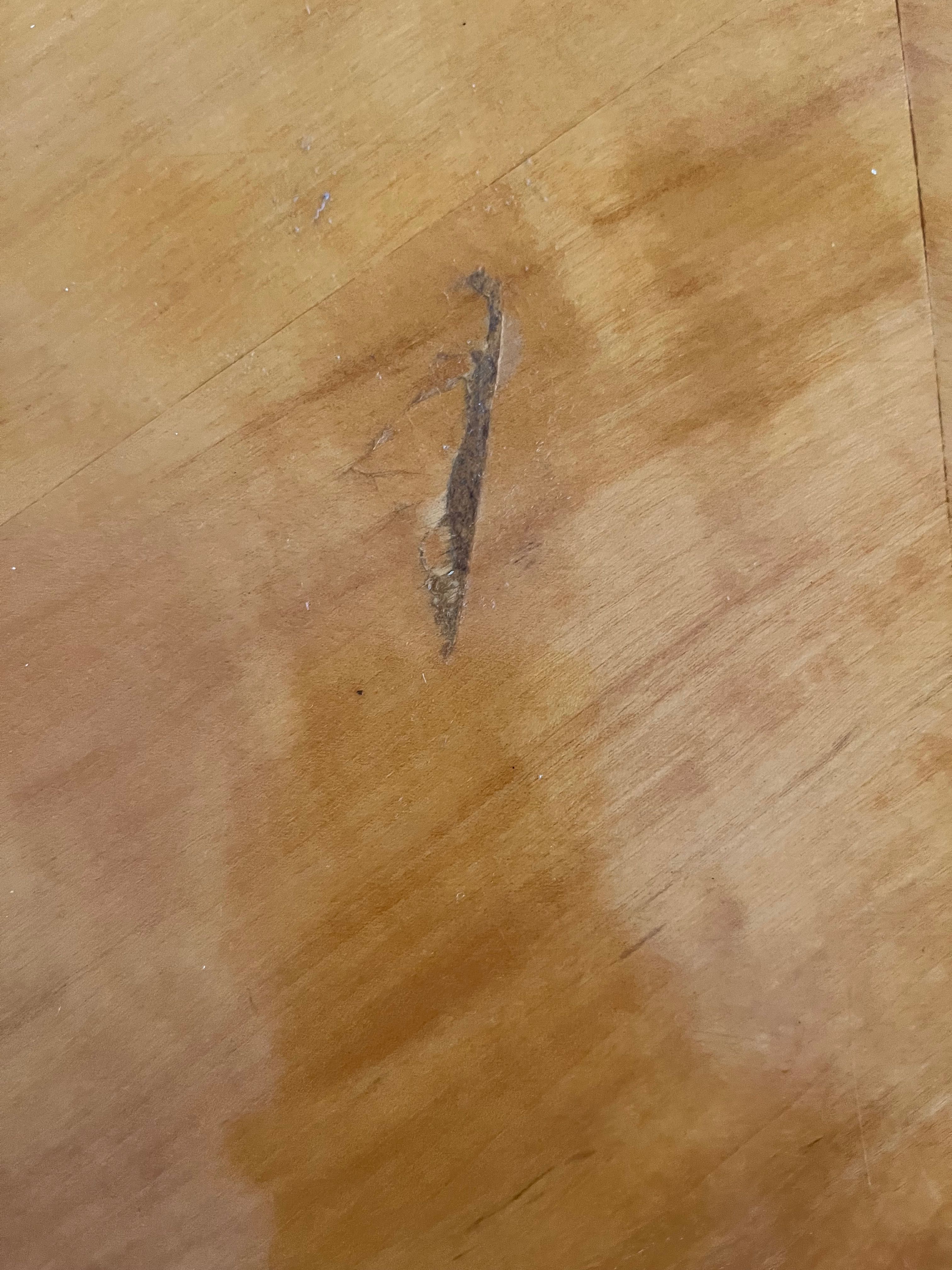 Stół drewniany jadalnia