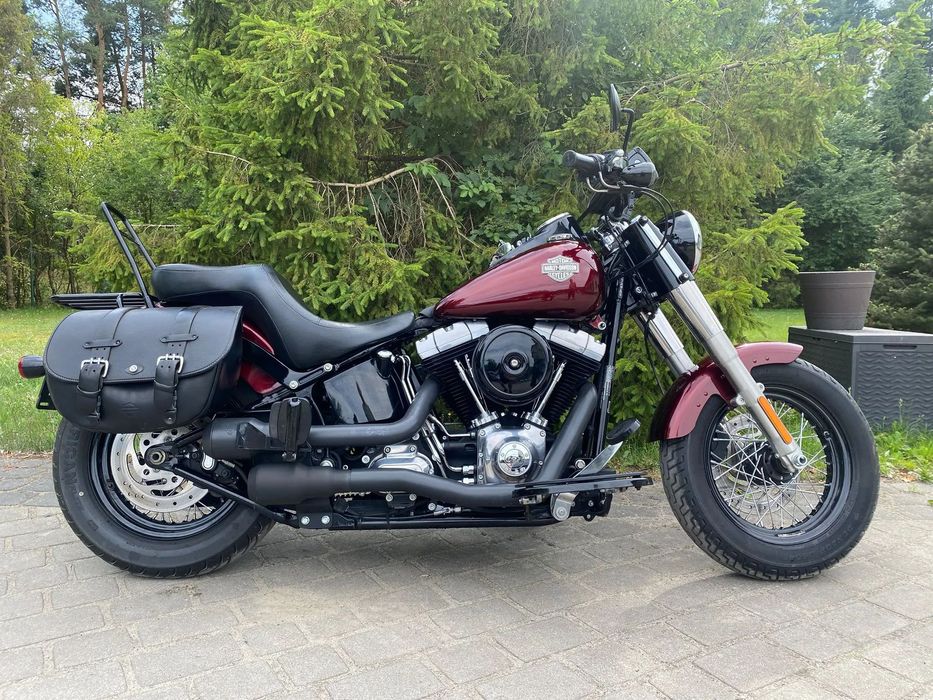 Harley-Davidson Softail Slim Harley Davidson FLS 2014 Silnik 103