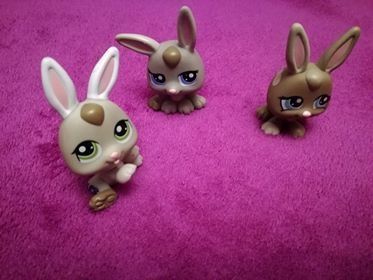 Littlest Pet Shop UNIKATY niedostępne już w sklepach