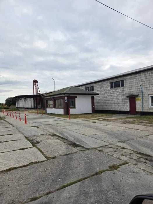 Wynajem - Magazyny / hale magazynowe Werbkowice