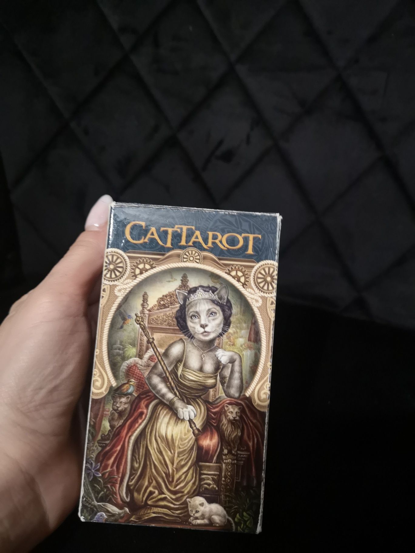 Cat Tarot karty koty