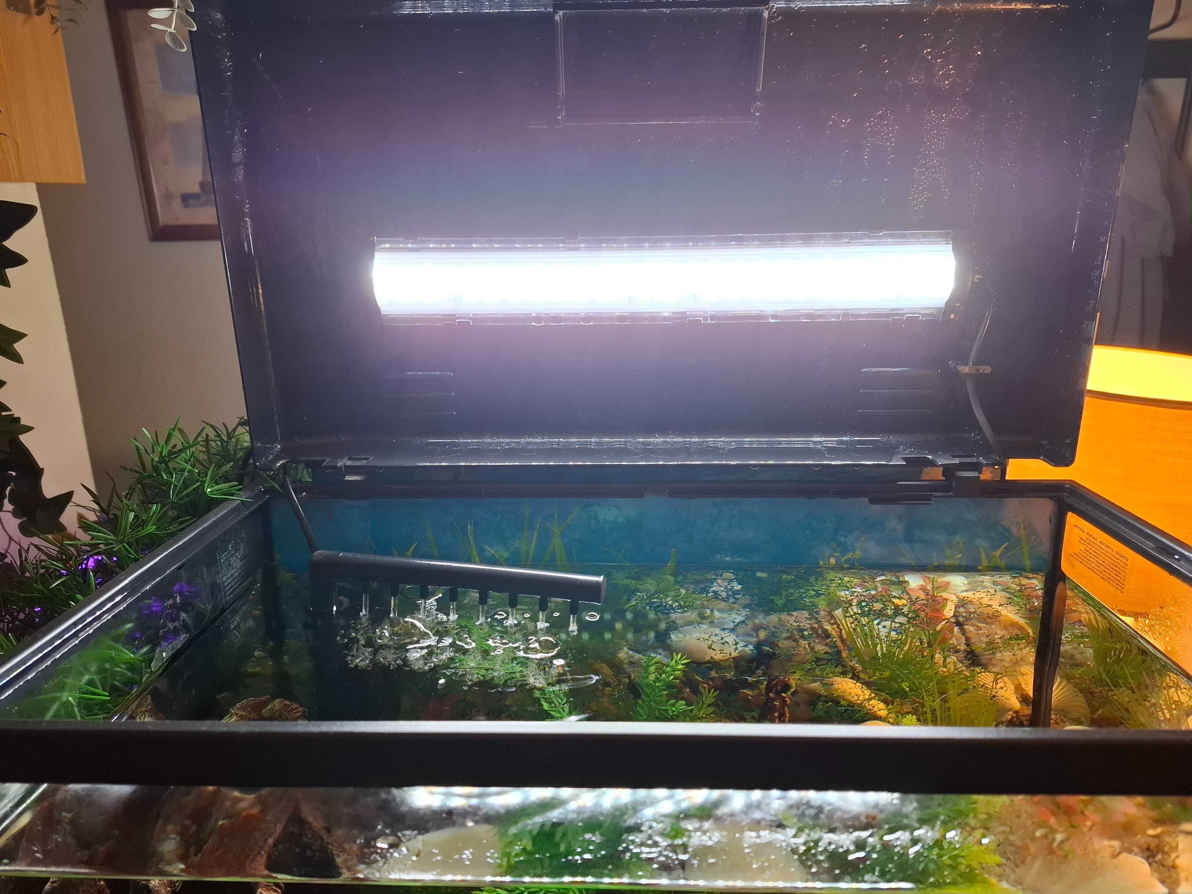 Vendo aquário com luz de 50 L impecável