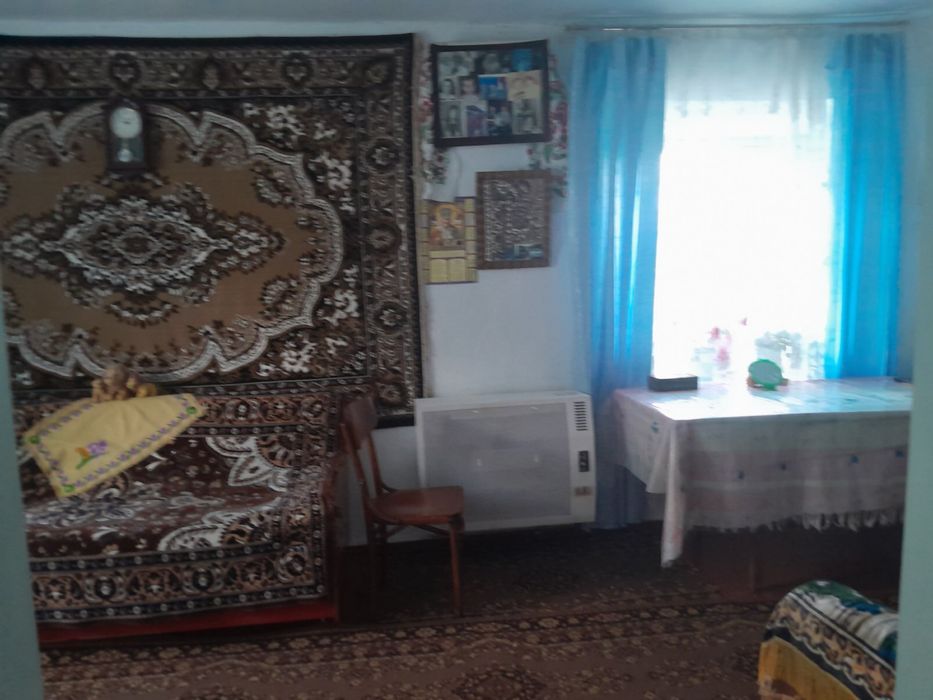 Продам будинок в центрі розвиненого села