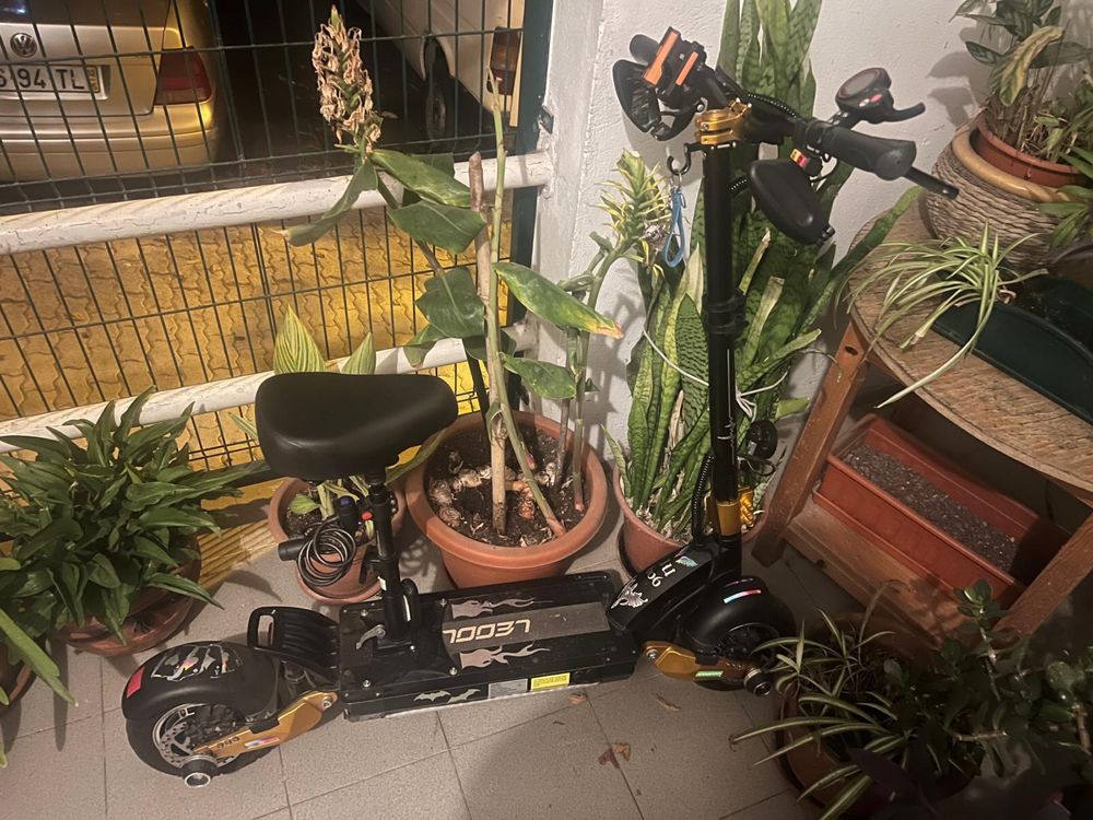 Trotinete leoout sx10