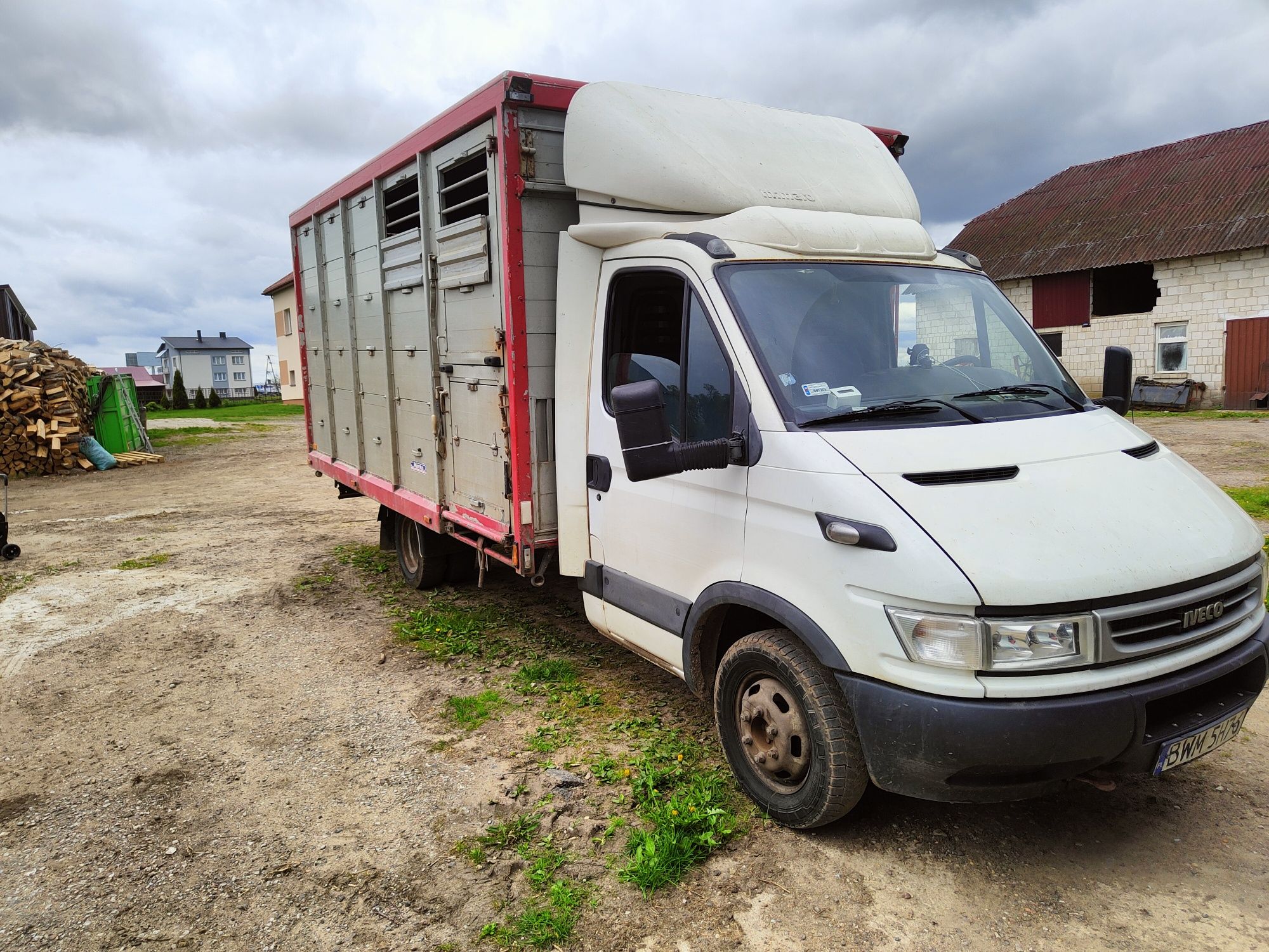 Iveco daily do przewozu Bydła, Żywca , zwierząt