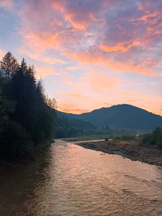 Відпочинок у Карпатах. Садиба "Гірська роса".