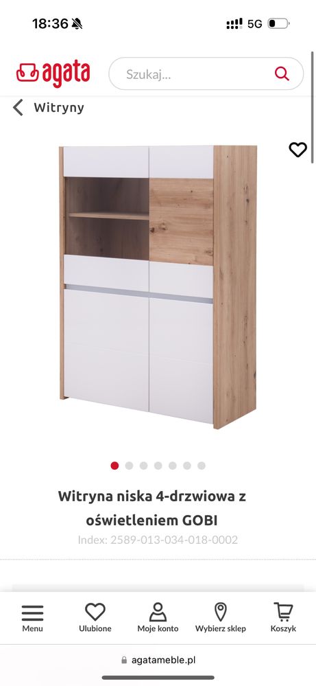 Witryna Agata Meble Gobi