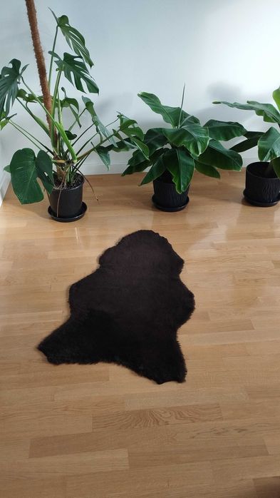 Skóra naturalna dekoracyjna owcza