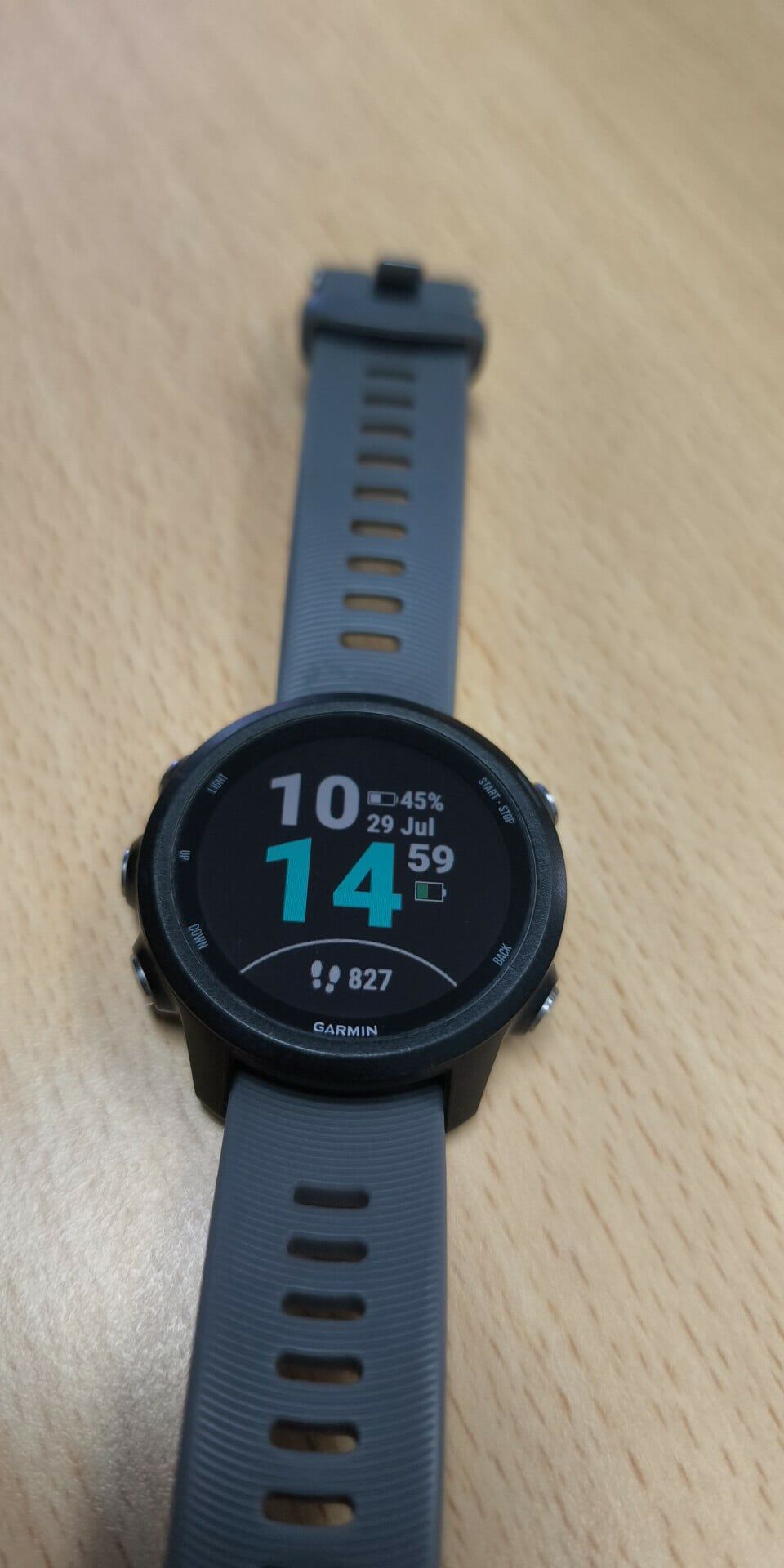 Garmin Forerunner 245