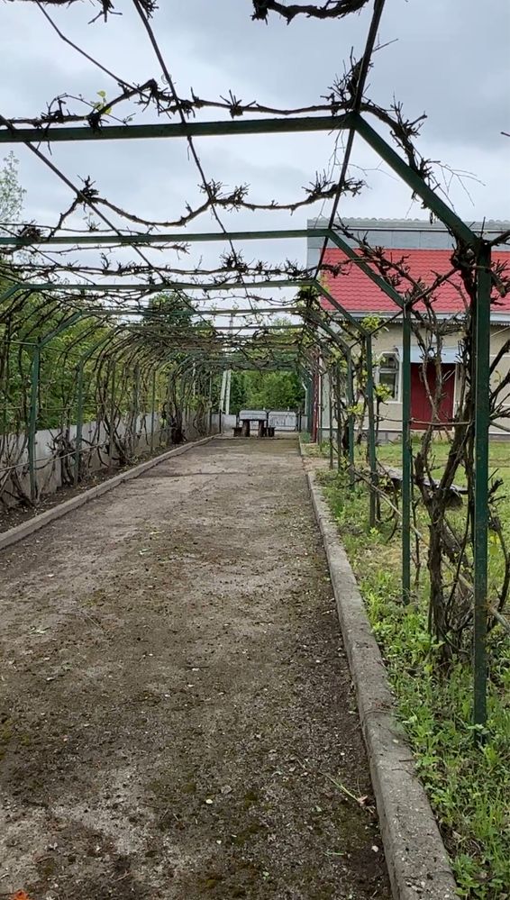 Продаж Будинок Садиба Ділянка Дача (господарство)