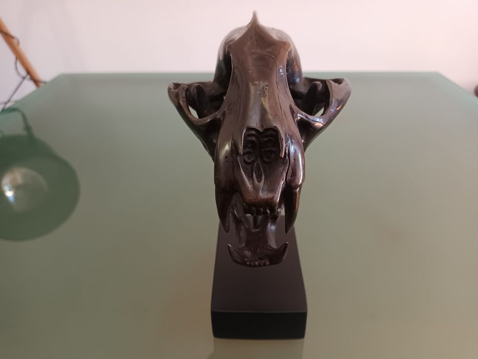 Escultura em Bronze patinado, de Crânio de Leopardo das Neves